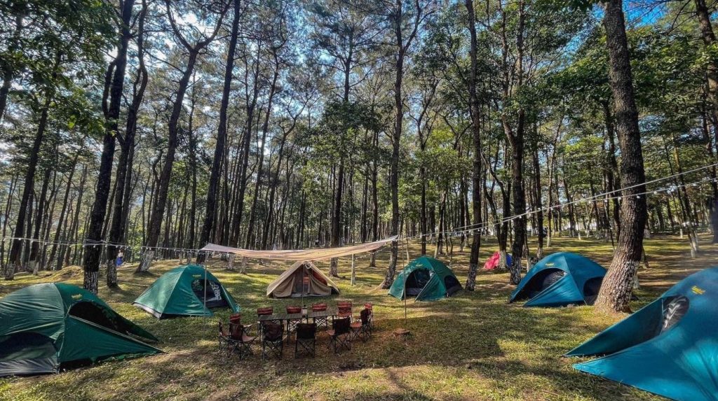 Cách chọn địa điểm cắm trại